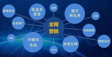 墨小二多維護眼中心的成功訣竅 一品億賺揭秘網(wǎng)絡(luò)技術(shù)支持之道