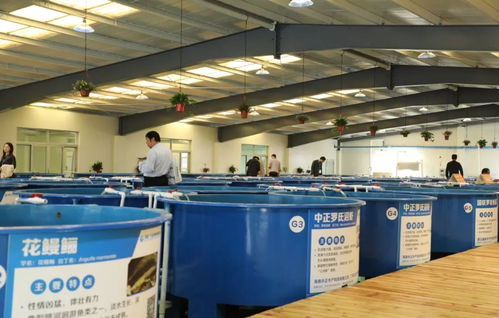 首屆廣東漁業種博會 沒想到你是這樣的博覽會！