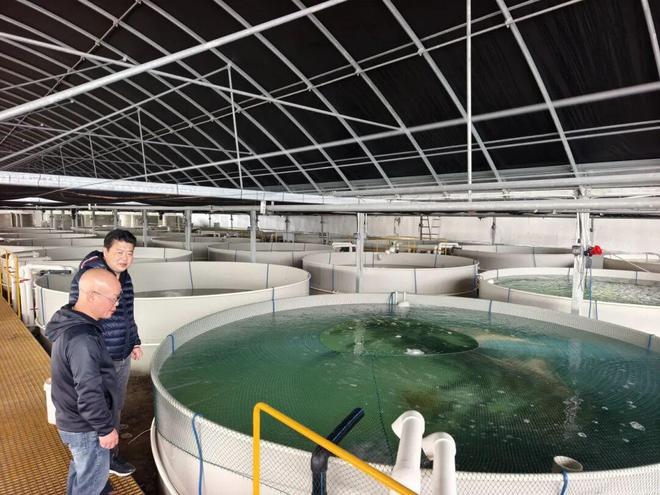 七彩神仙魚“游”出鄉村振興的“一池春水”——畜牧漁業飼料產業的協同發展之路