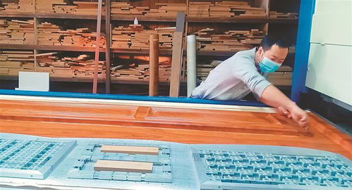 大慶 三產融合強根基，畜牧漁業飼料產業旺民生