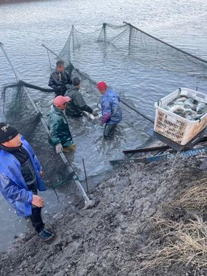 物流受阻、飼料告急、銷路不暢——多地畜牧漁業遭遇疫情沖擊波